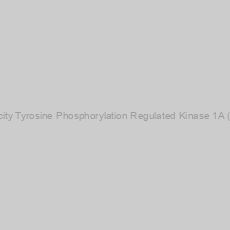 Image of Mouse Dual Specificity Tyrosine Phosphorylation Regulated Kinase 1A (DYRK1A) ELISA Kit